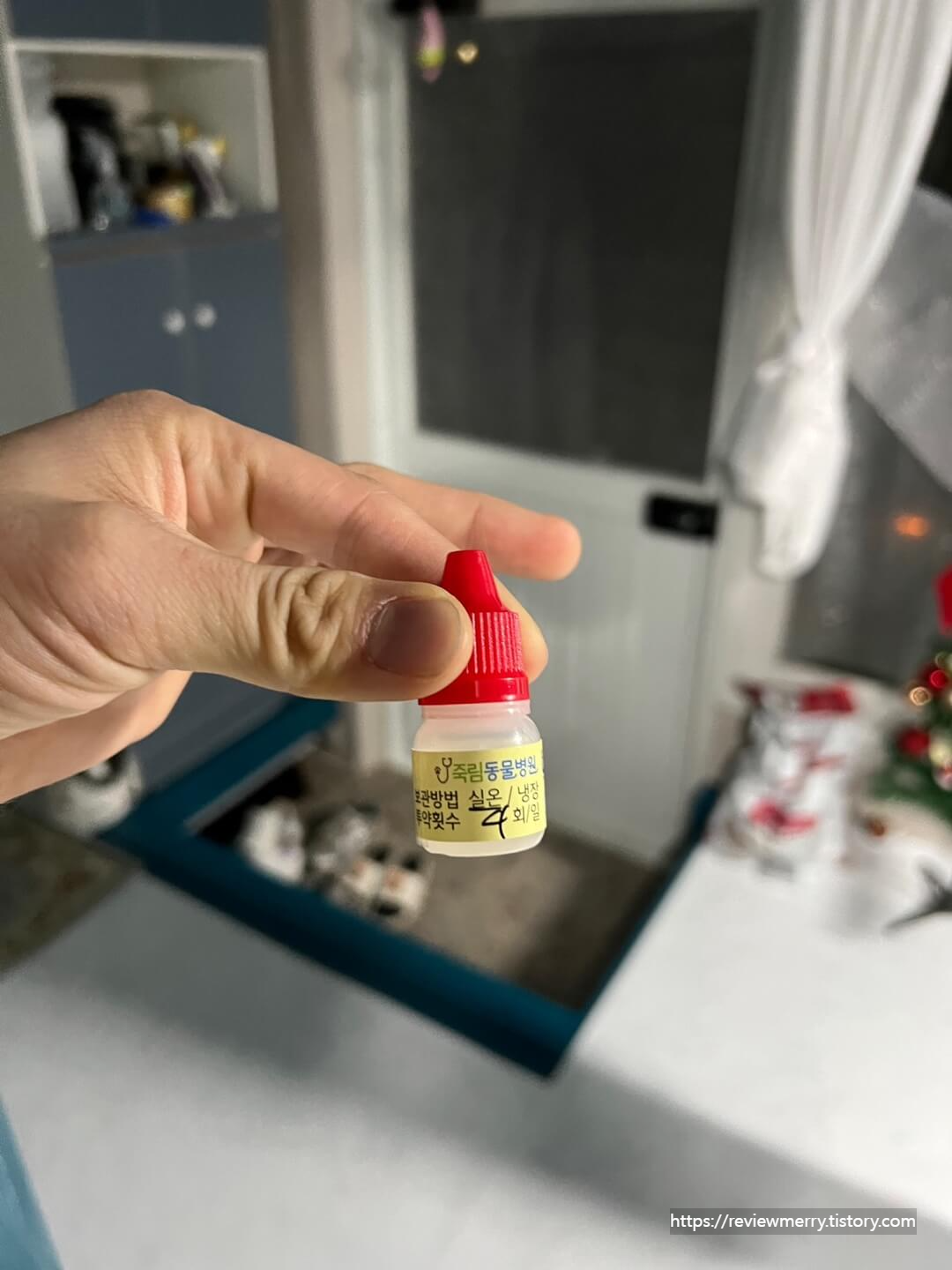 겨울이 안약 사진