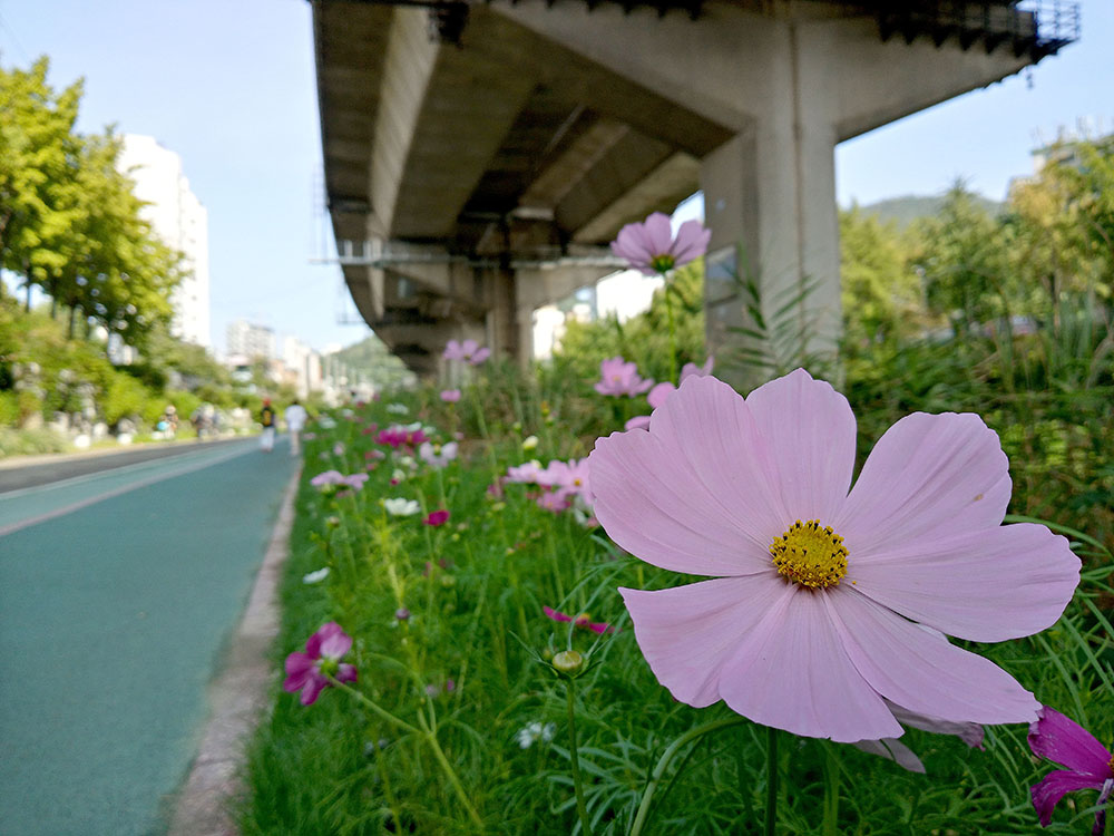 이마트24 10월 오만보 걷기챌린지