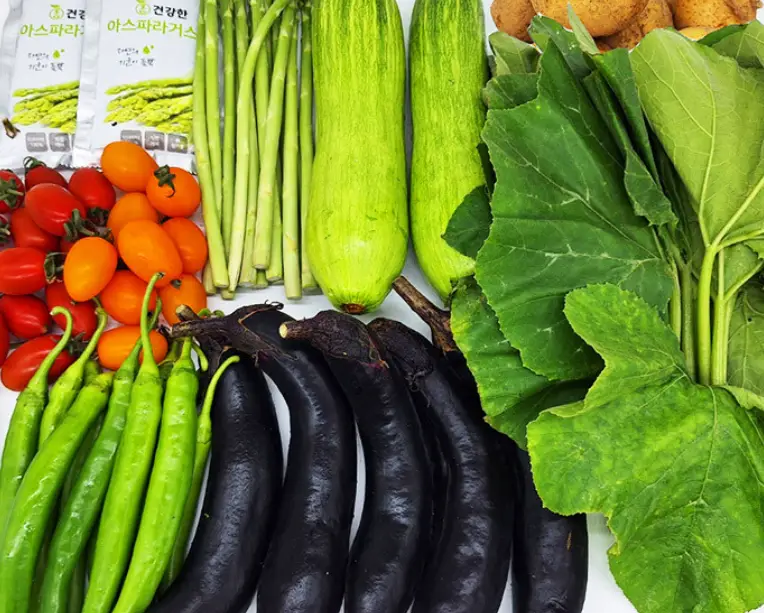 채소 사진