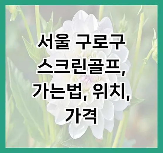 골프존파크 고척 제니스점