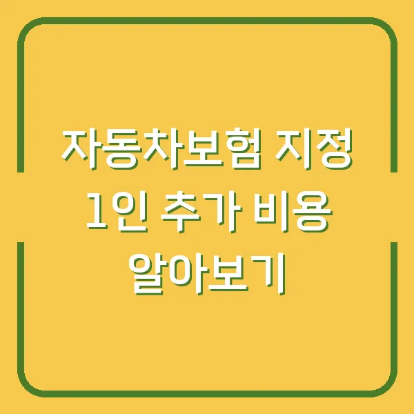 자동차보험 지정 1인 추가 비용 알아보기