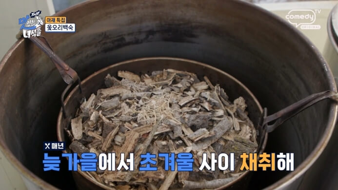 옻나무