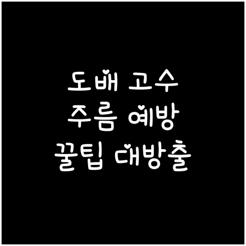 도배 고수만 아는 주름 예방 꿀팁 대