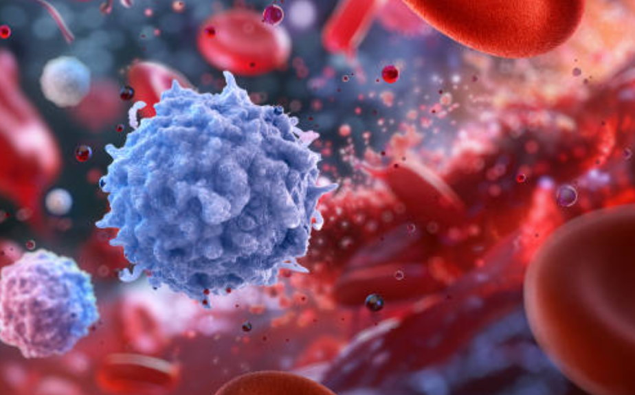 백혈병과 관련된 사진