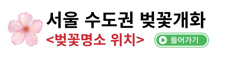 전농로벚꽃