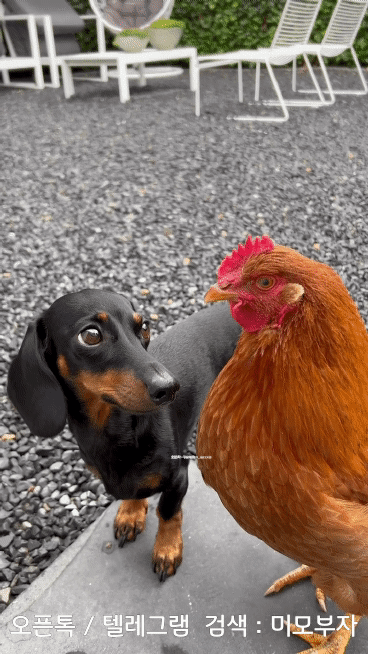 10월 30일 월 경제뉴스 부동산뉴스