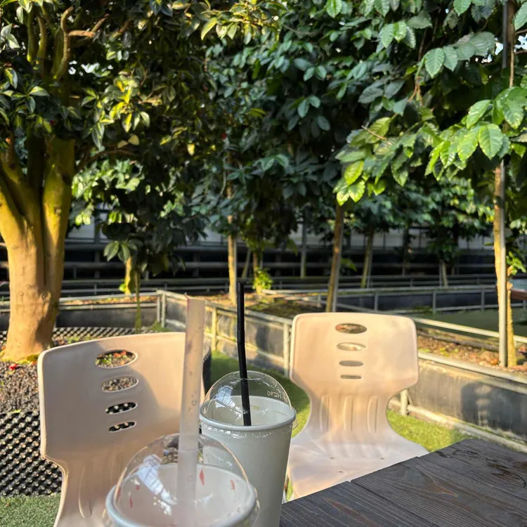 특색있고 아름다운 민간 정원 30선 추천 여행 - 25. 통영 동백커피식물원