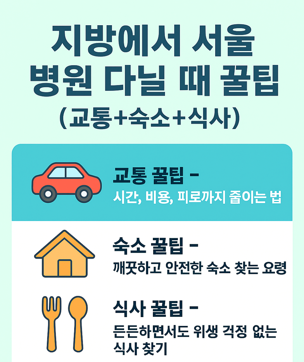 지방에서 서울 병원 다닐 때 꿀팁 (교통+숙소+식사) 인포그래픽