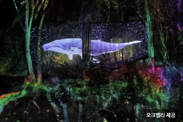 오크밸리 3D 라이팅쇼 '소나타오브라이트' 사진