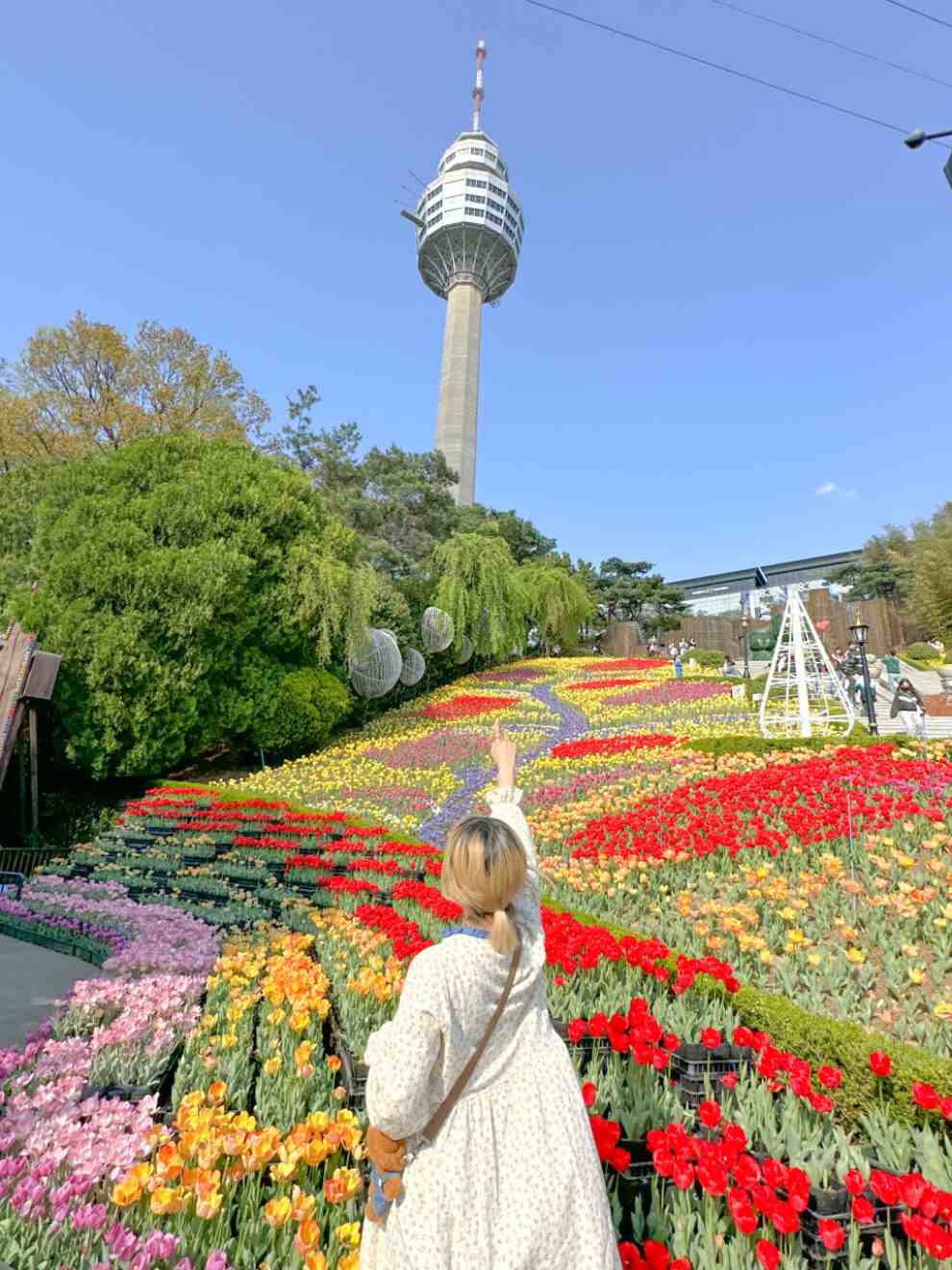 이월드 튤립트래블