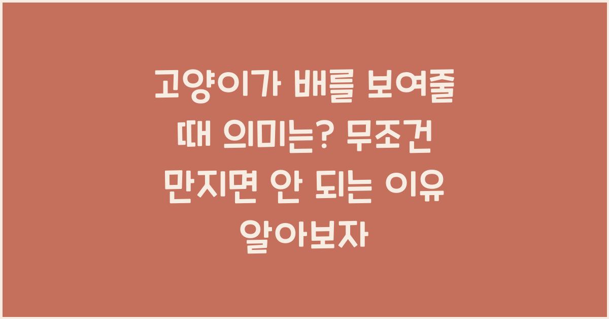 고양이가 배를 보여줄 때 의미는? 무조건 만지면 안 되는 이유