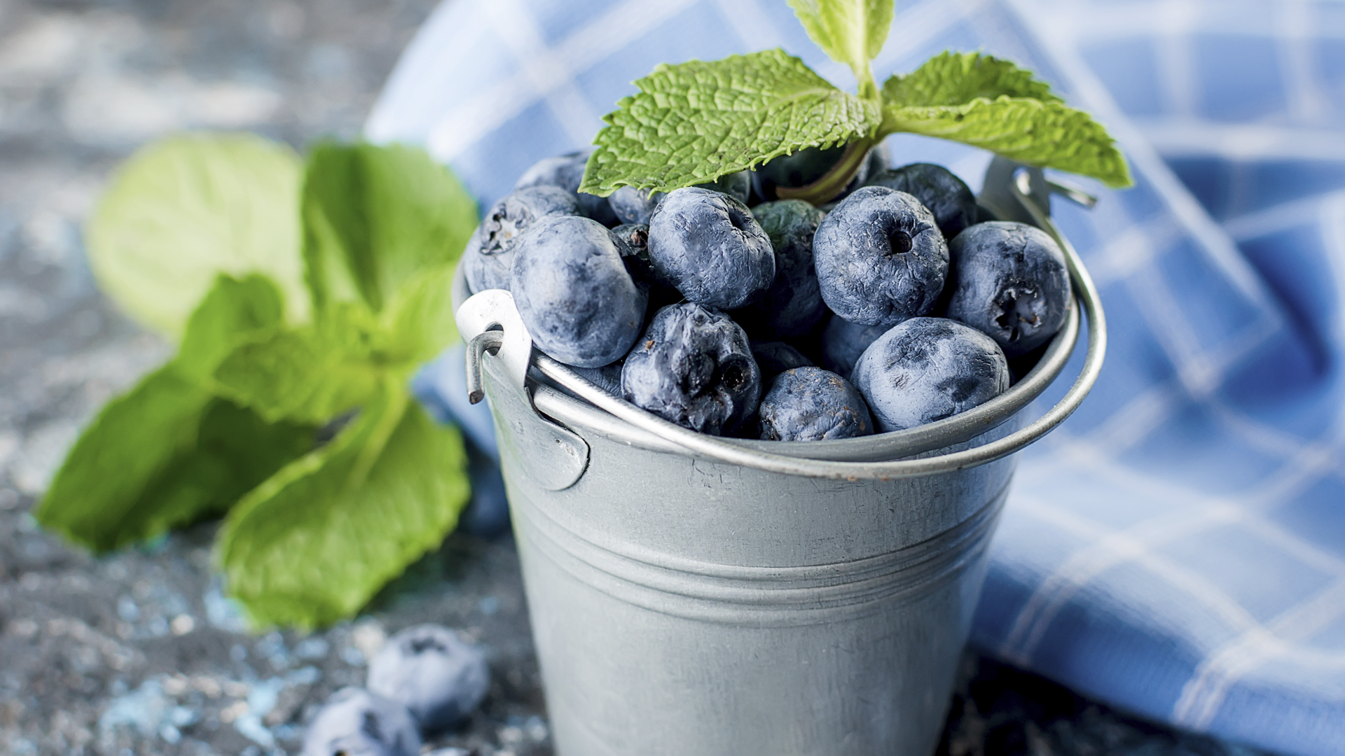 블루베리의 주요 효능