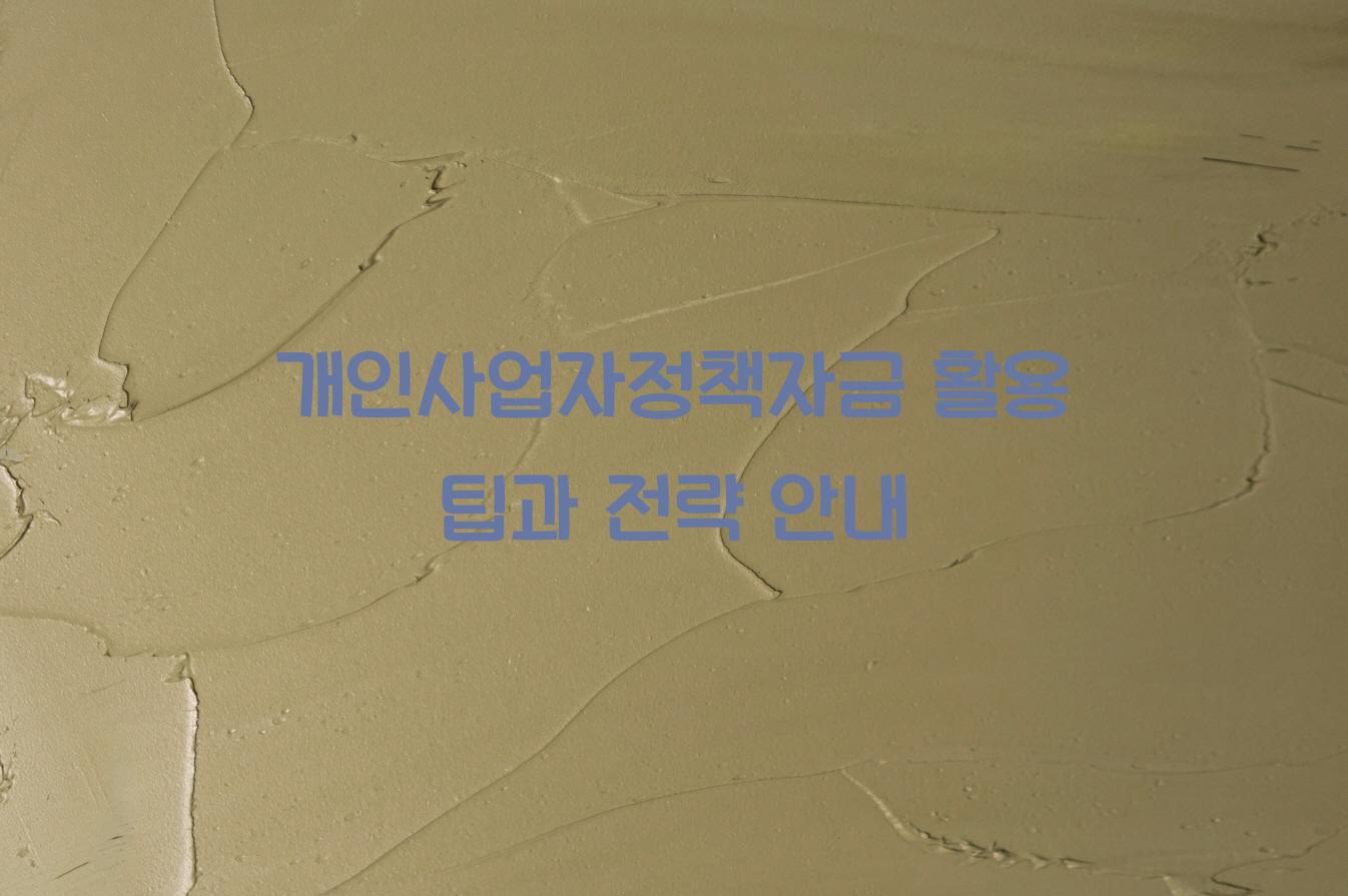 개인사업자정책자금