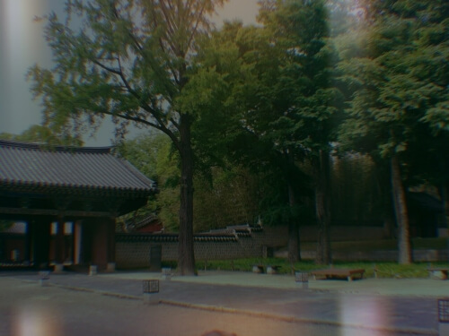 필카 감성으로 담아 본 전주 한옥마을 경기전