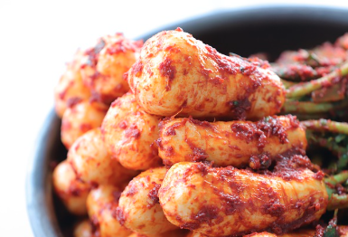 김치냉장고 스탠드형 구입 전 필독! 브랜드별 특징(삼성,LG,위니아)