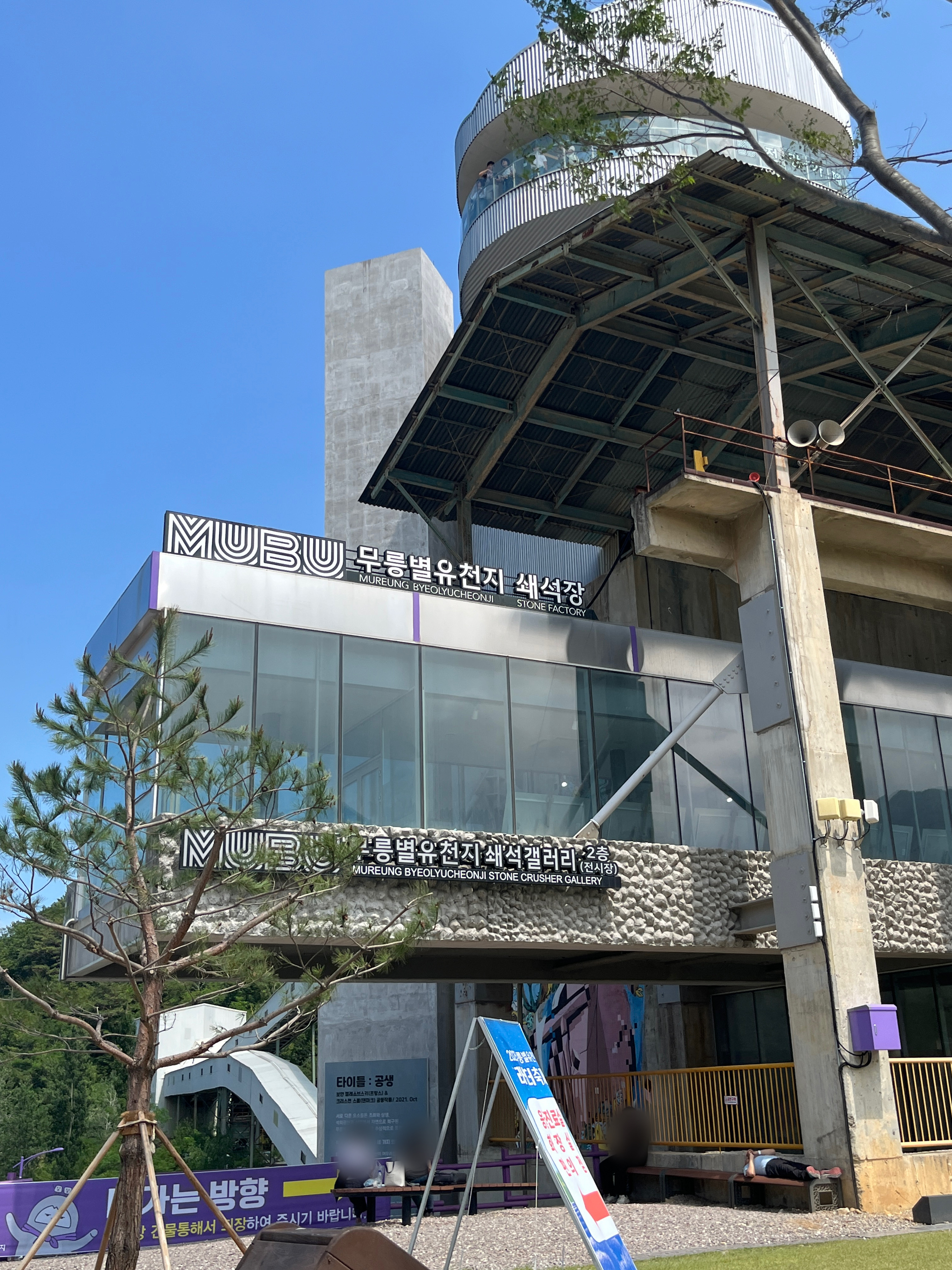 무릉별유천지 라벤더