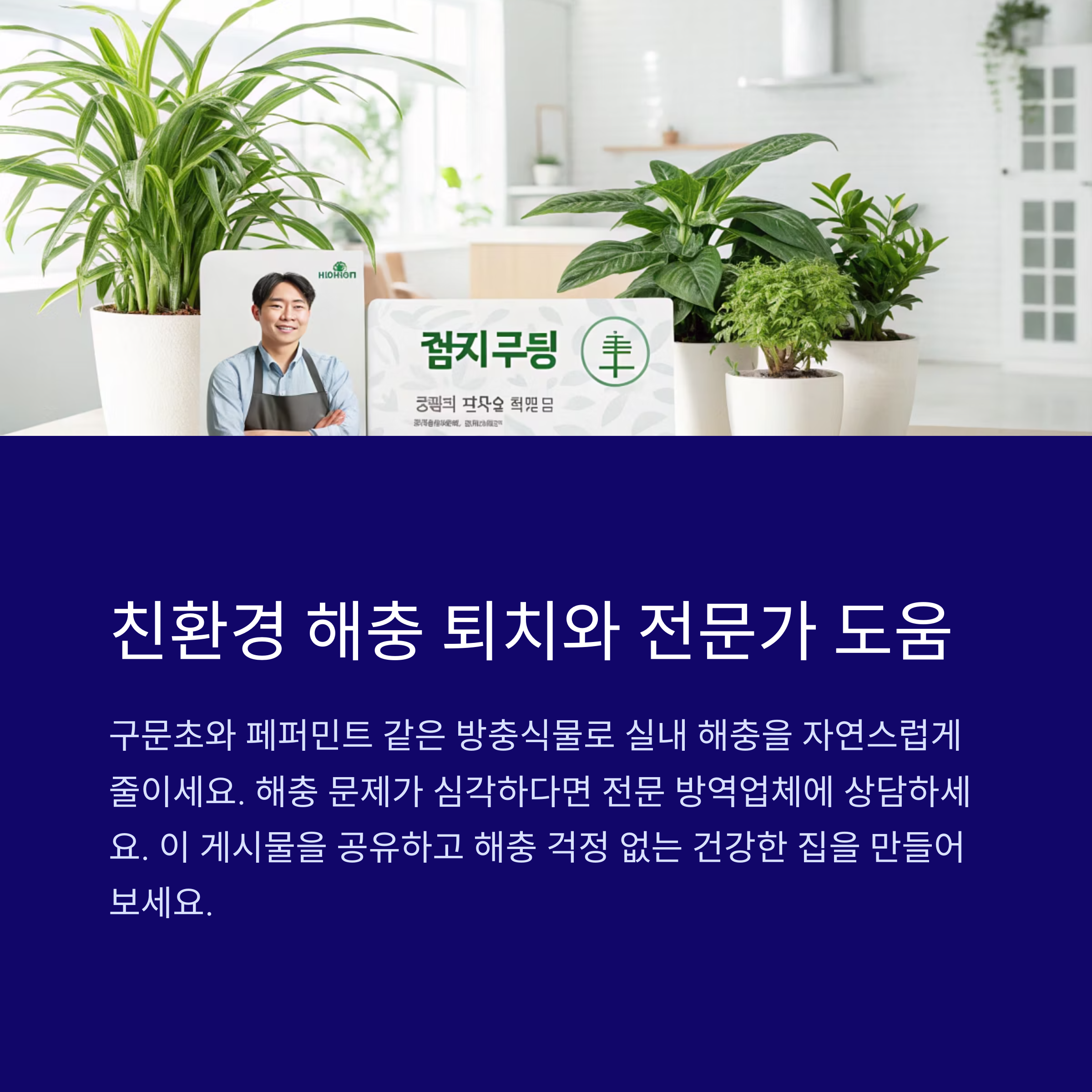 해충퇴치법