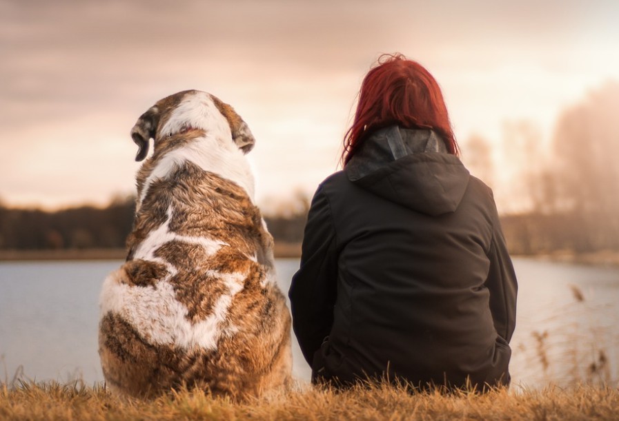 갱년기 자가진단 쿠퍼만 지수