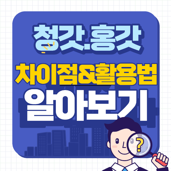 청갓과 홍갓 차이점 활용법