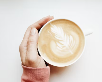 매머드커피 창업에 대하여 알아보기