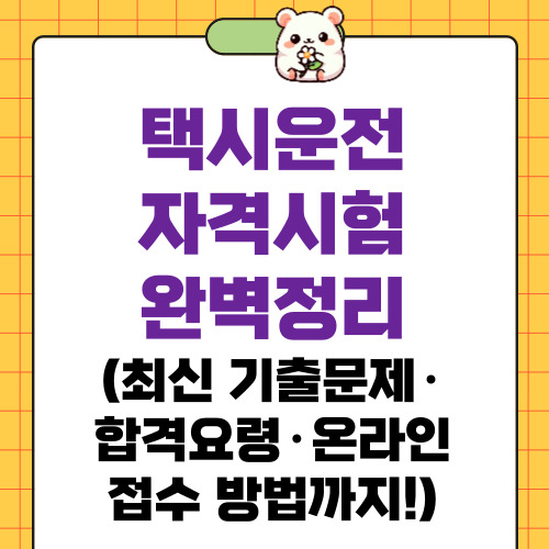 택시운전자격시험