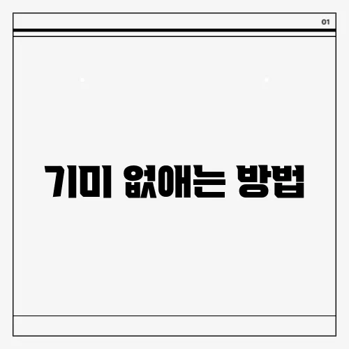 기미 없애는 방법