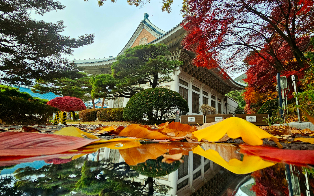 청와대 관람 신청