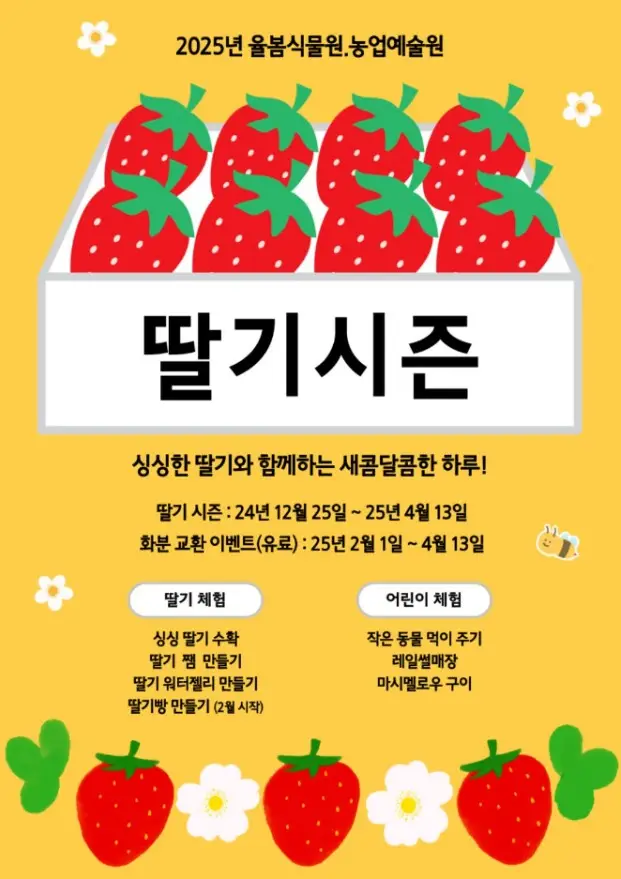 율봄식물원 딸기 시즌