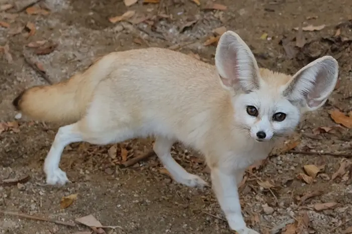 순천만-국가정원-입장료-운영시간-요금