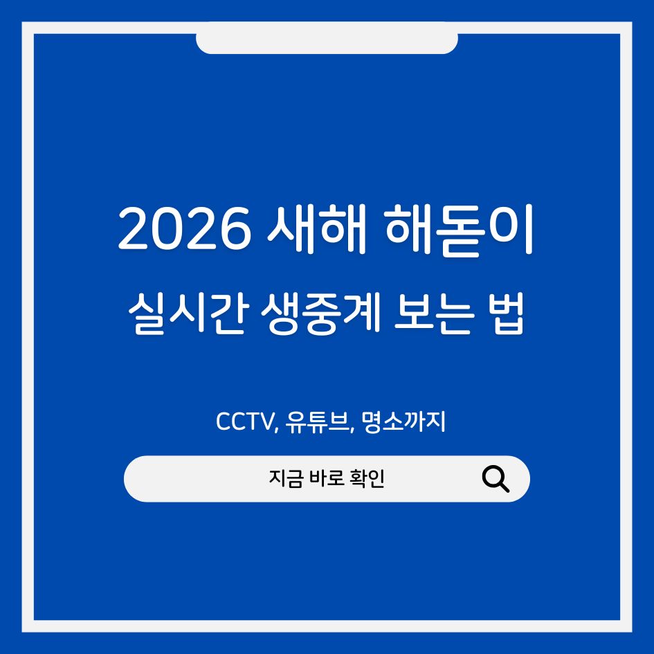 2026년 해돋이 실시간 생중계 CCTV로 보는 방법