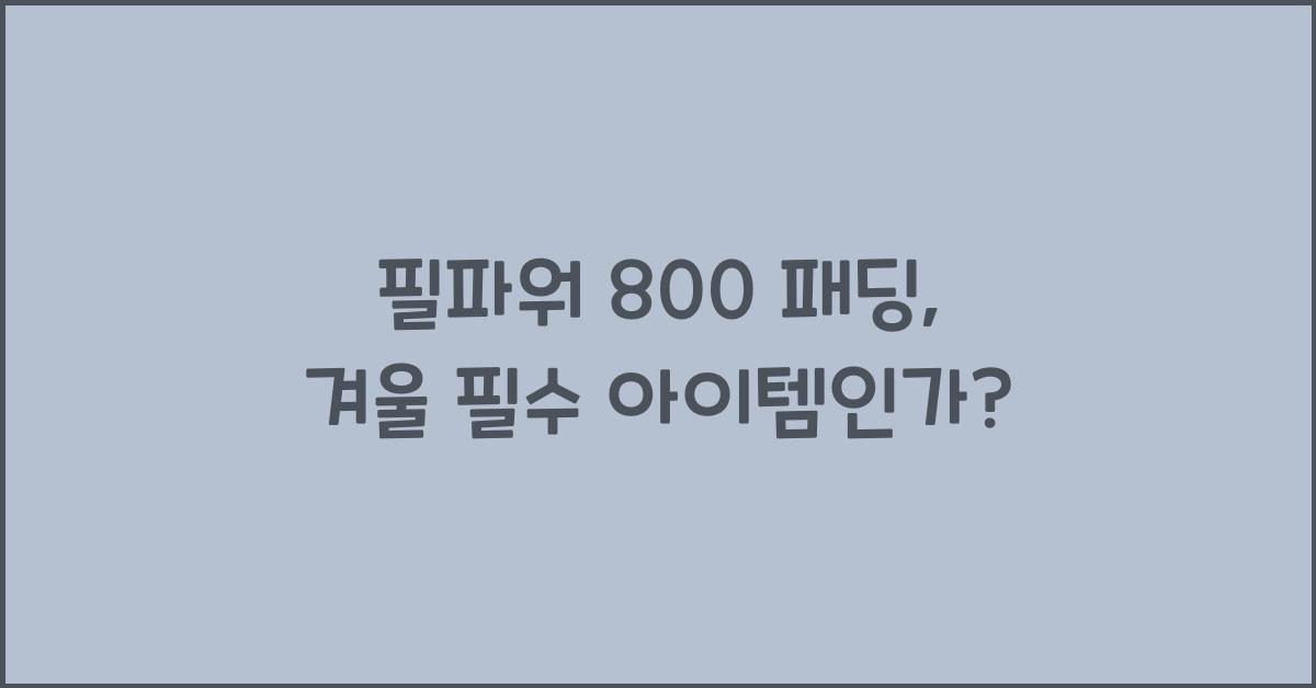 필파워 800 패딩