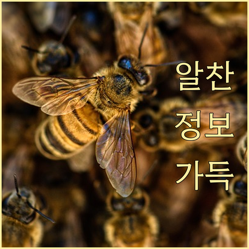 노브랜드 이마티콘 사용 불가 매장 알..