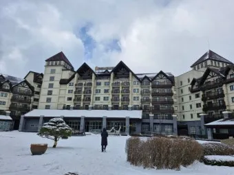 평창 가볼만한곳 베스트10 완벽 자연 여행_18