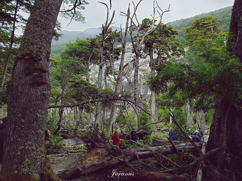 Mayo Spirit Trek 03