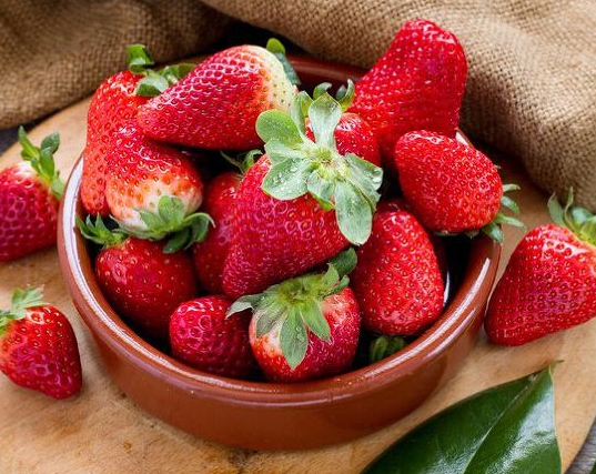 강아지가 먹어도 되는 과일