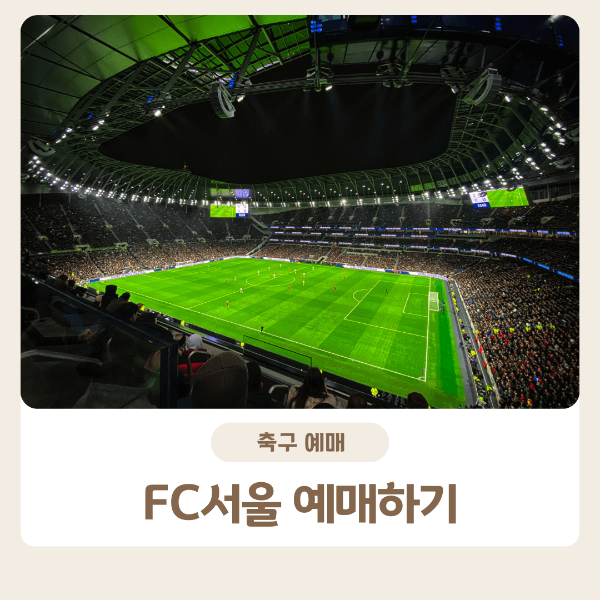 fc서울 에매