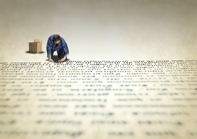 공무원 경력증명서 발급