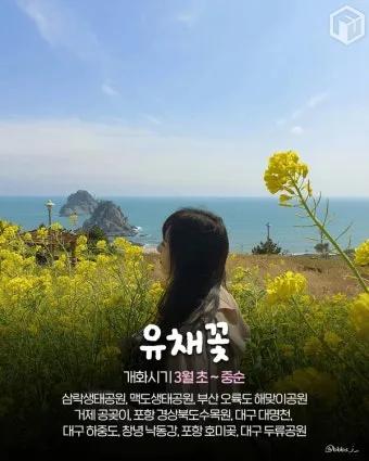 경상도 봄여행 가볼만한곳 베스트 10 완벽 여행 가이드_14