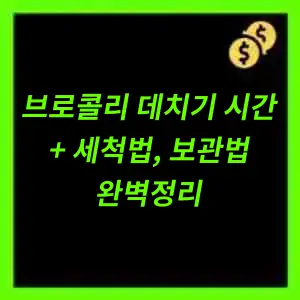 브로콜리 데치기 시간&#44; 세척법 보관법 정리