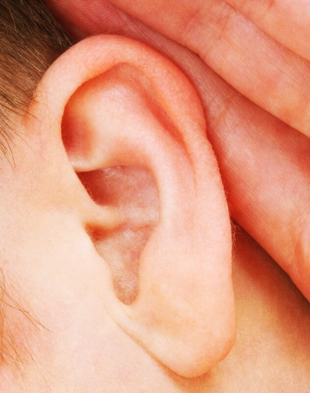 소리를-듣는-귀