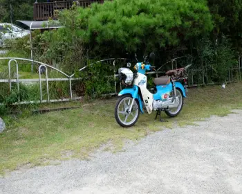 서울숲 공원 주차장3