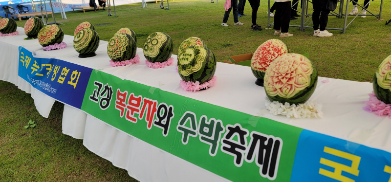 풍천장어와 함께하는 제21회 고창 복분자와 수박축제 기본일정과 프로그램 정리 박지현 윤수현 출연