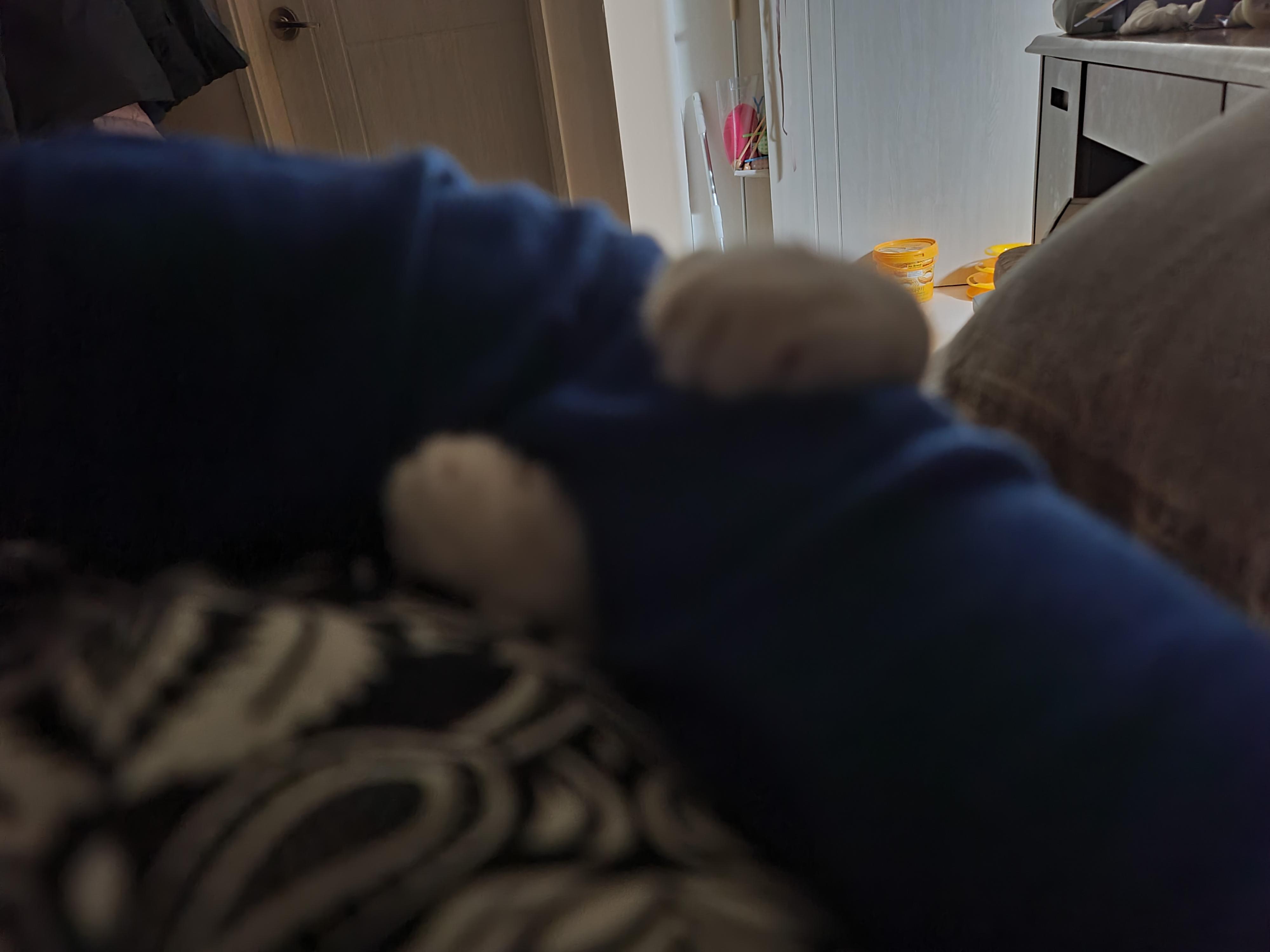 엄마 팔 꼭 껴안고 자는 고양이 호야