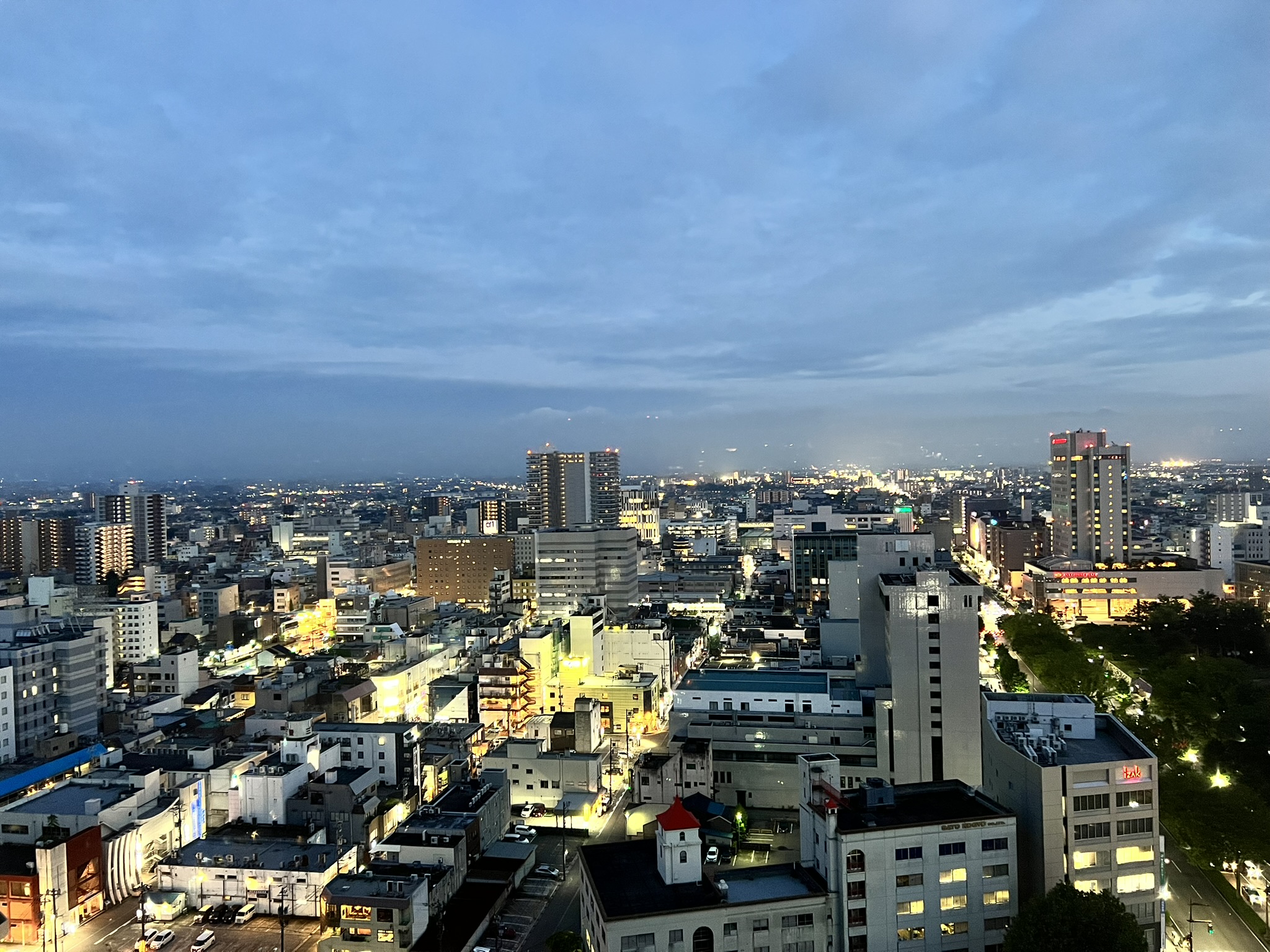 도야마 시청 전망대에서 본 야경