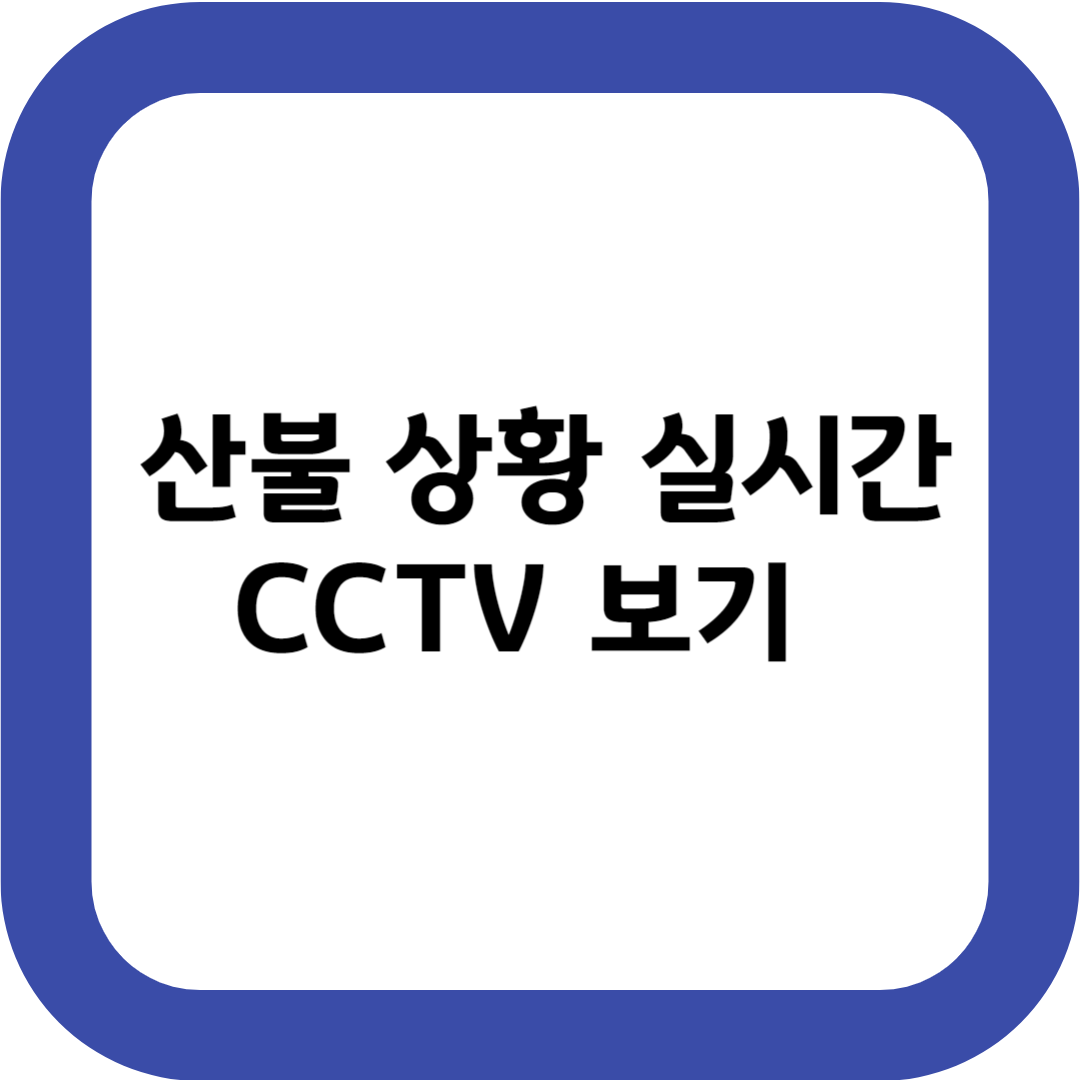 의성 산청 안동 산불 상황 실시간 CCTV 보기