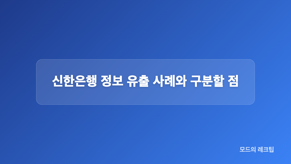 사고 경로와 금융당국 조사 내용