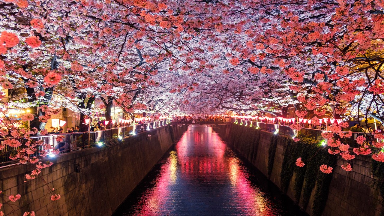 일본 유학 명문 대학 정보 도쿄, 교토, 와세다, 게이요