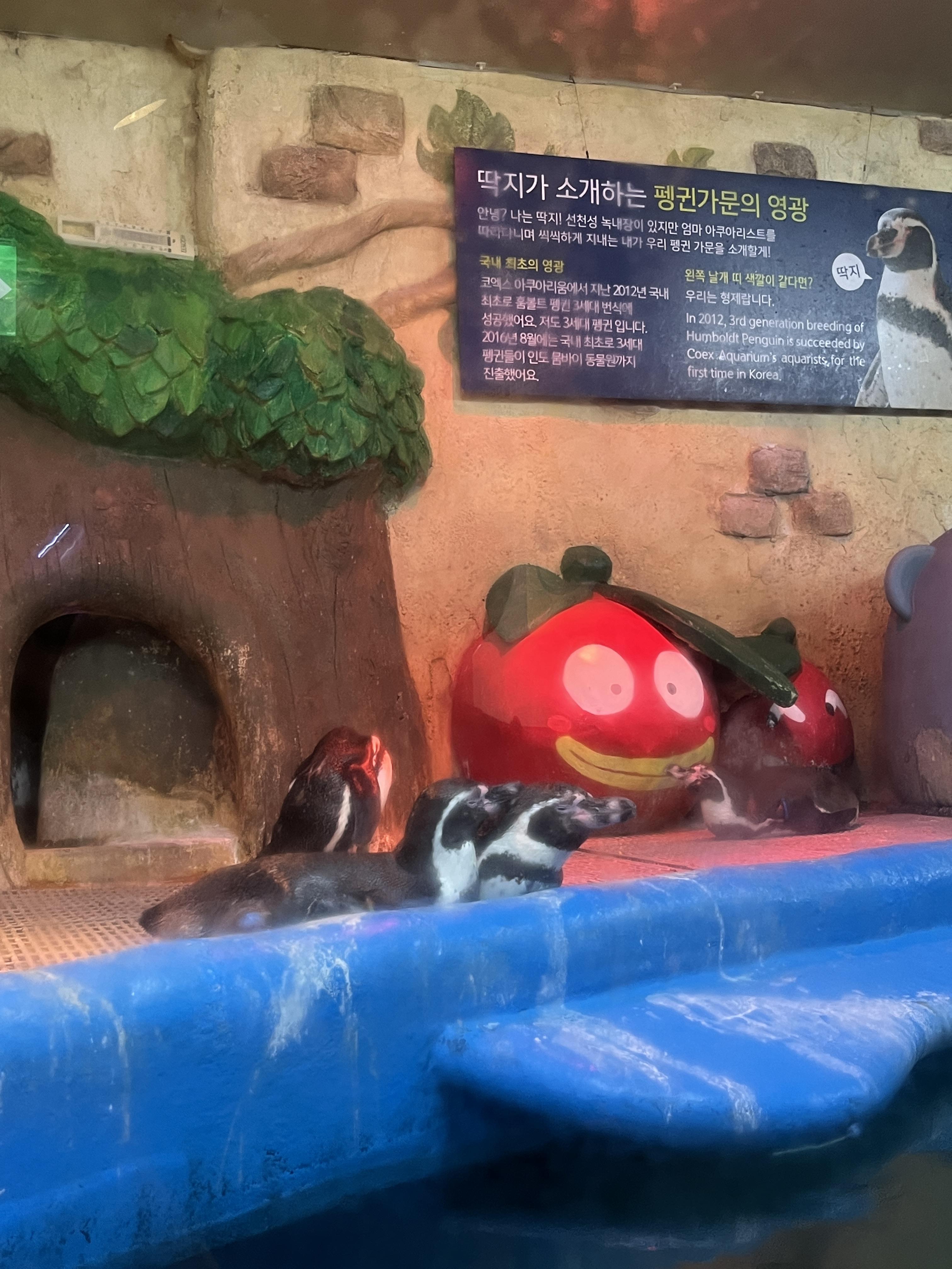 코엑스 아쿠아리움 동물의숲