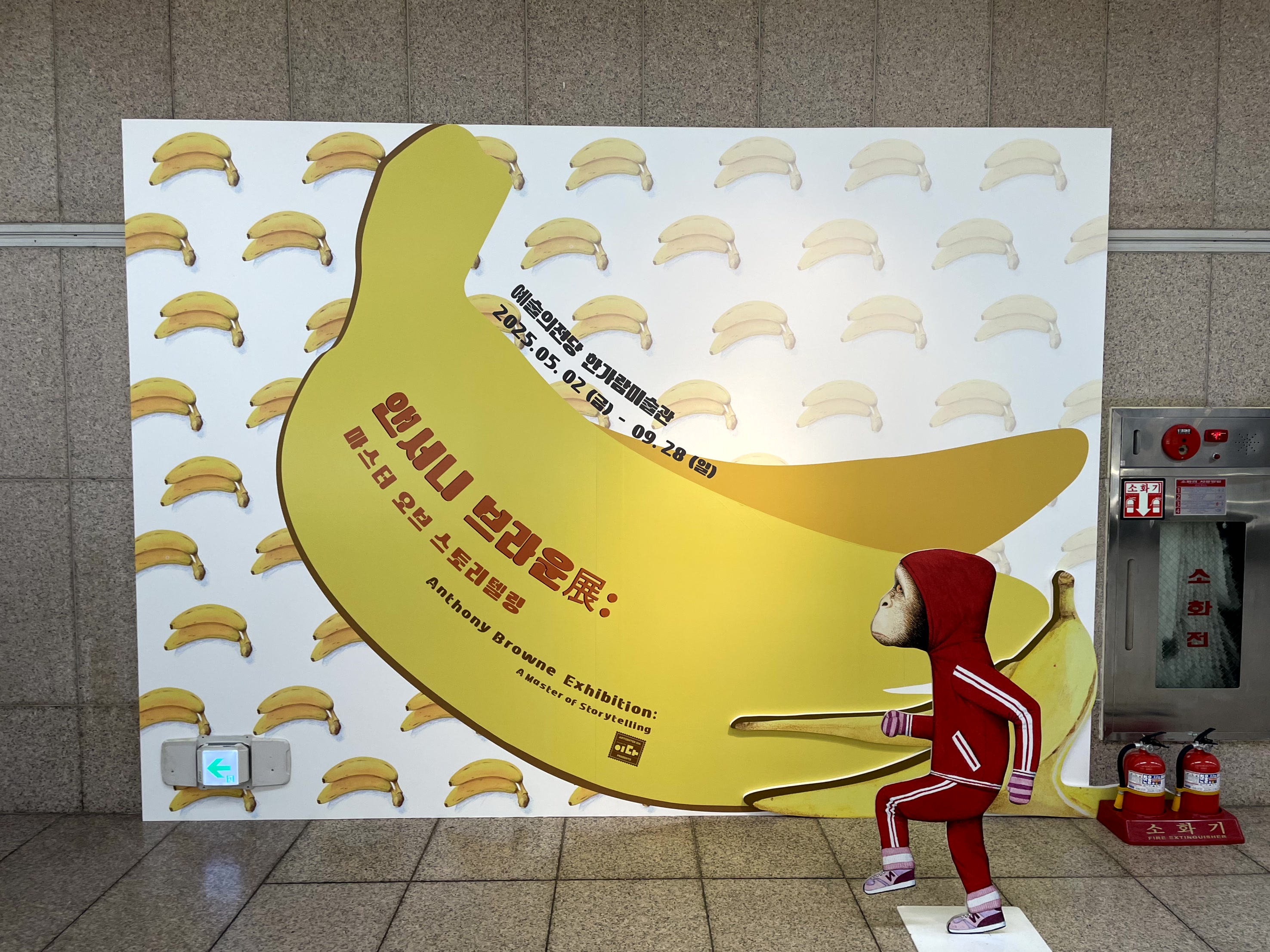 앤서니 브라운 전시회 할인 예매