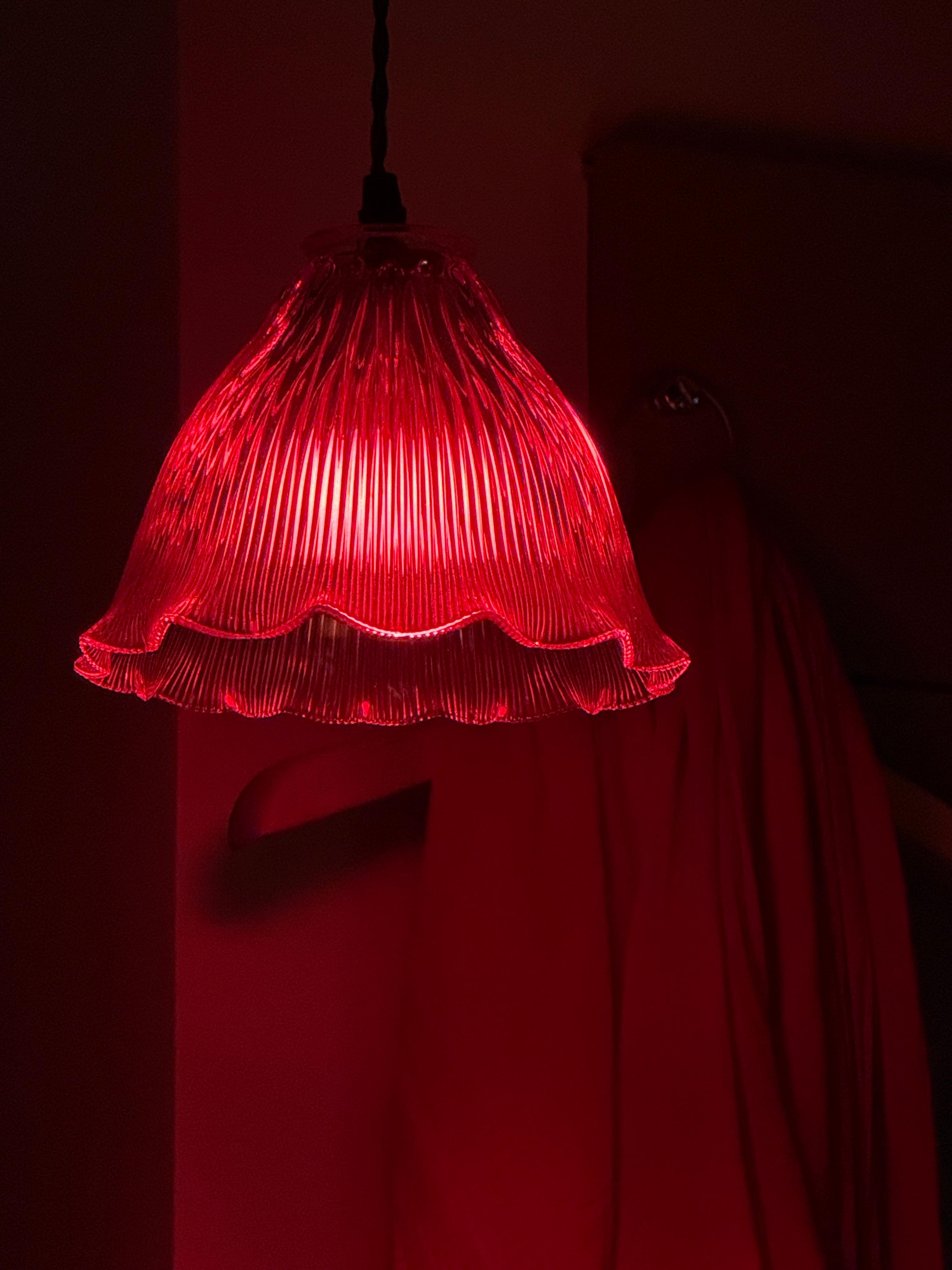 🍷 미금역에 숨겨진 와인 아지트, &lsquo;탐포포(TANPOPO)&rsquo; 방문기